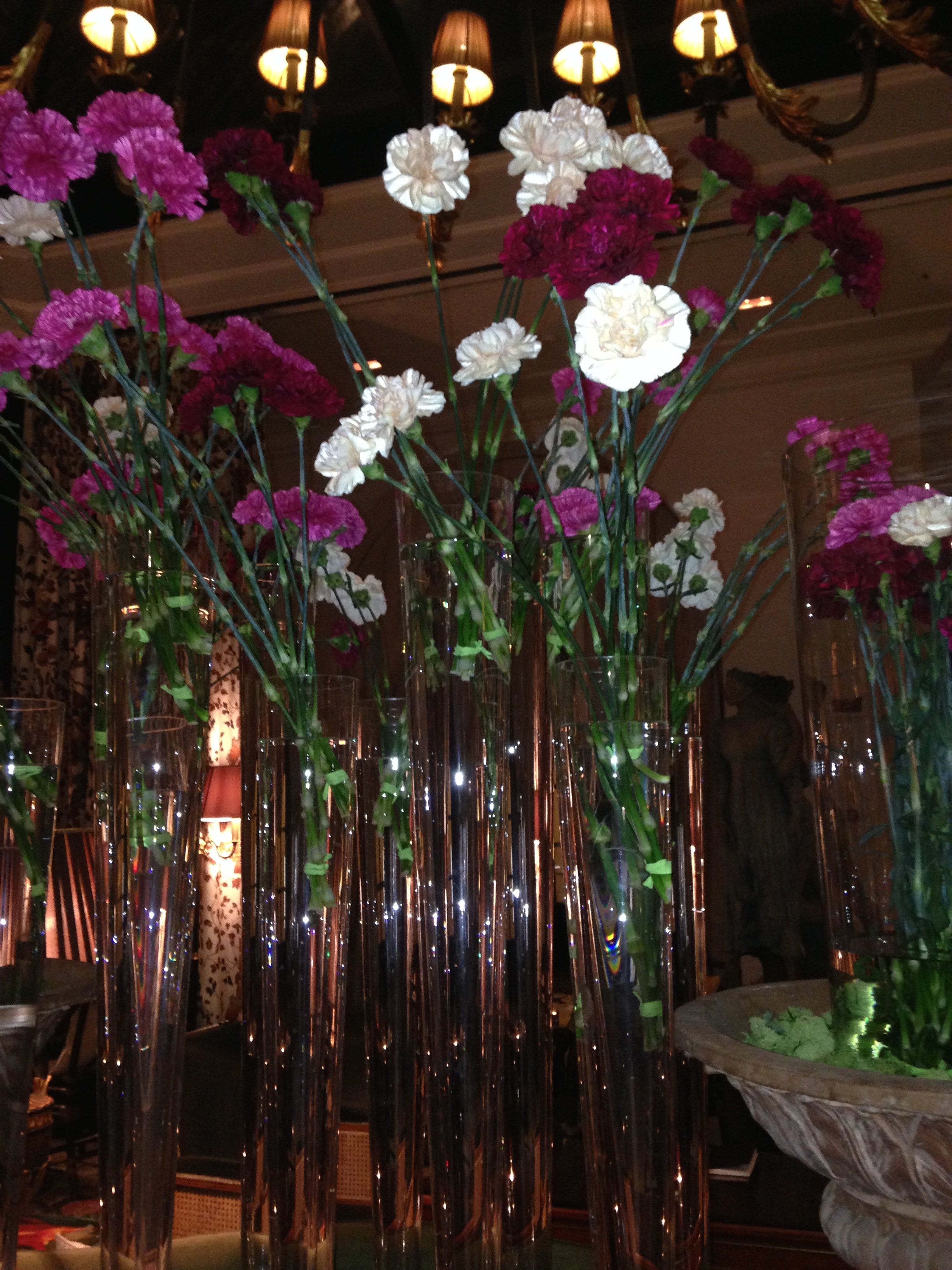 Bar Carnations