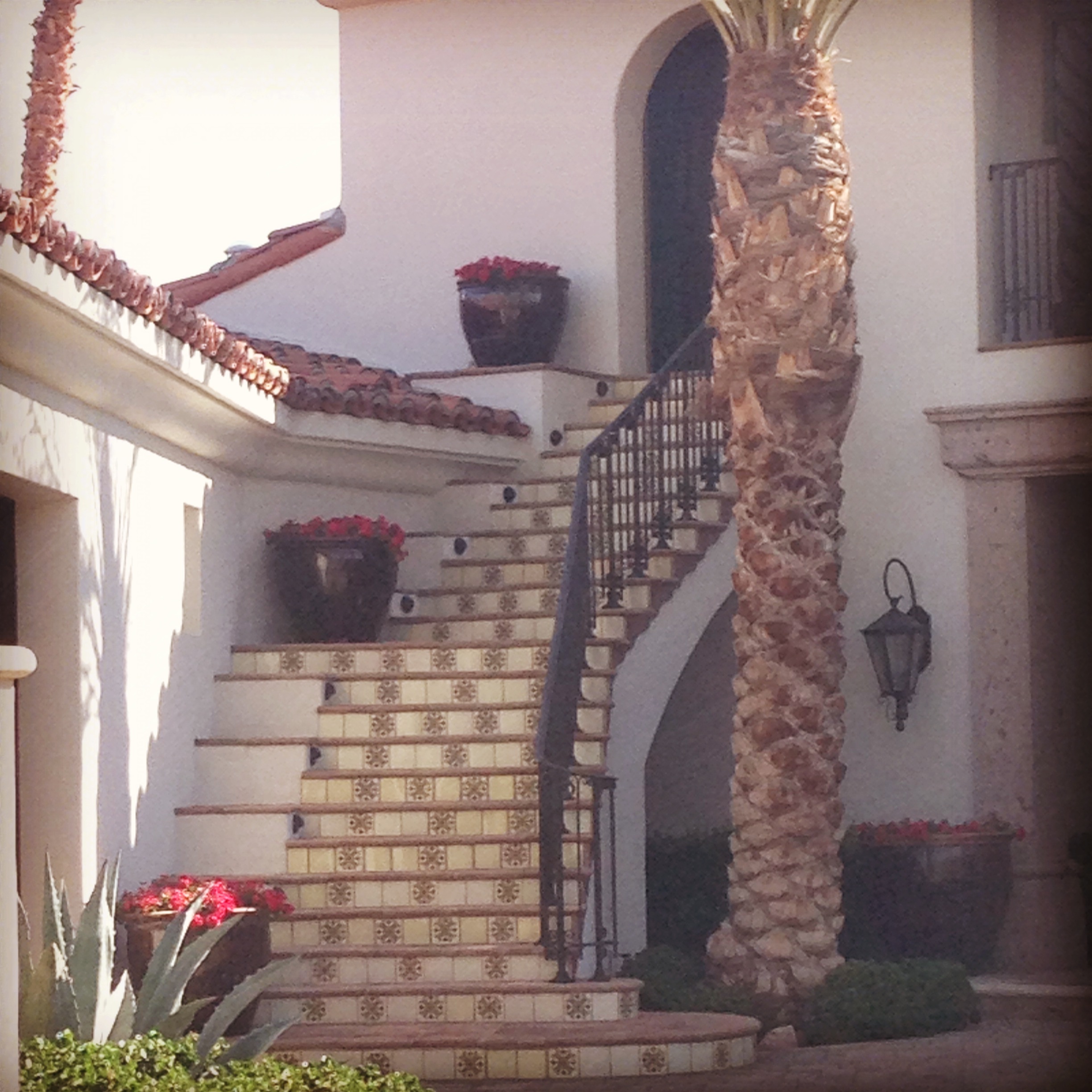 PS Neighborhood_Potted Stairway