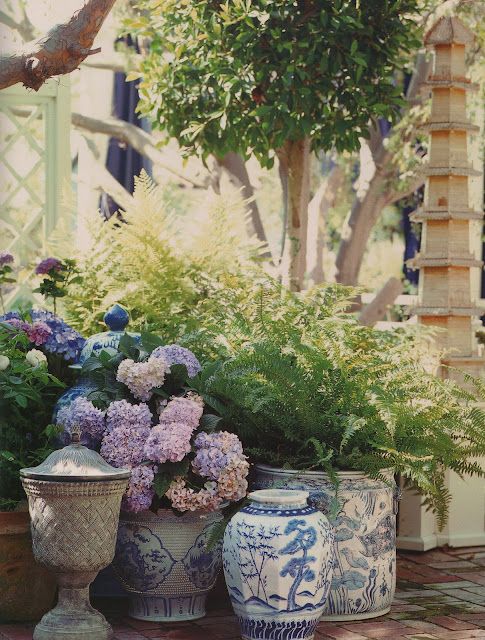 Beautiful Blue and White Potted Hydrangeas by Mary McDonald via Belcalire House