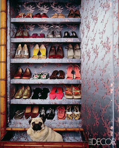 Pug in A Closet by Natasha Esch via Elle Decor
