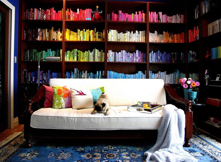 Pug in a room of colored books