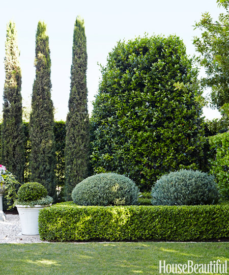 Gorgeous Boxwoods at Barbara Barrys Home via HB