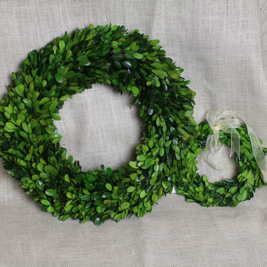 Preserved Boxwood Wreath by Boxwoods in Atlanta