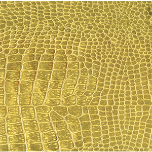 Gold Foil Wrap by Caspari