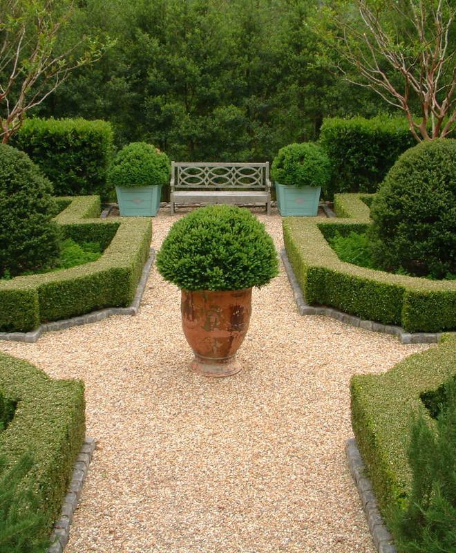 A Potted Boxwood Perfected via Mark Sikes