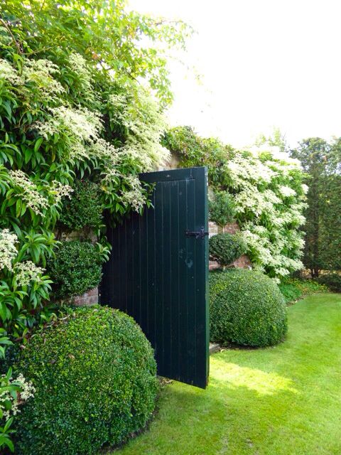 A garden door surrounded by boxwood