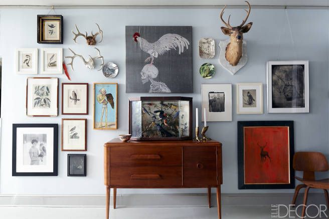 Eclectic wall of photos and taxidermy via Elle Decor