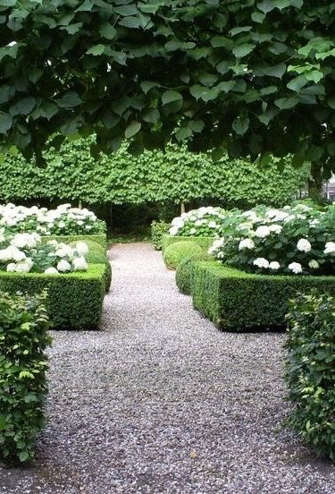 Gravel path of hedges and beautiful flowers