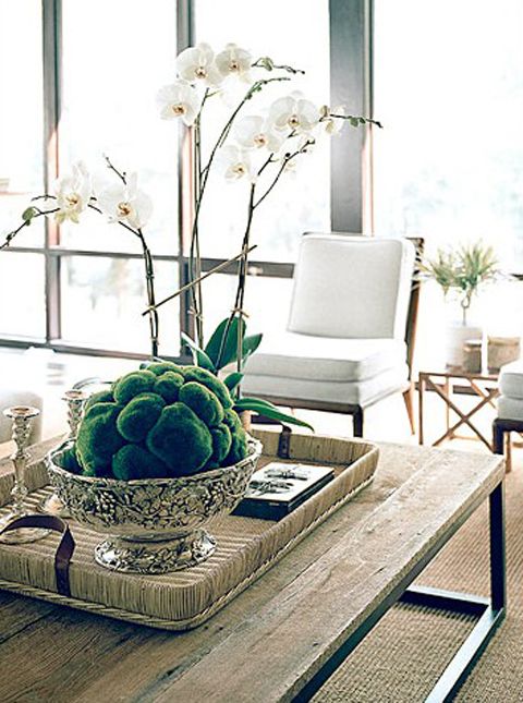 Orchid and moss ball on thecoffee table