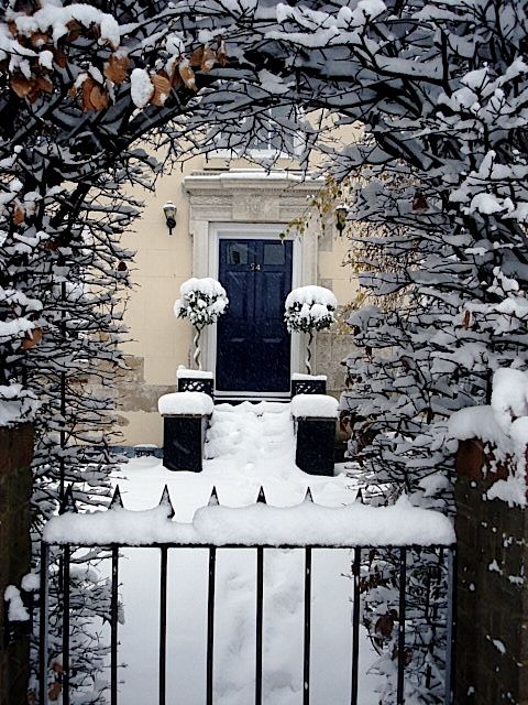 Beautiful snowy garden entry
