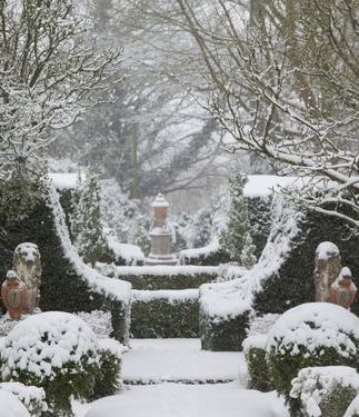 Snow covered garden