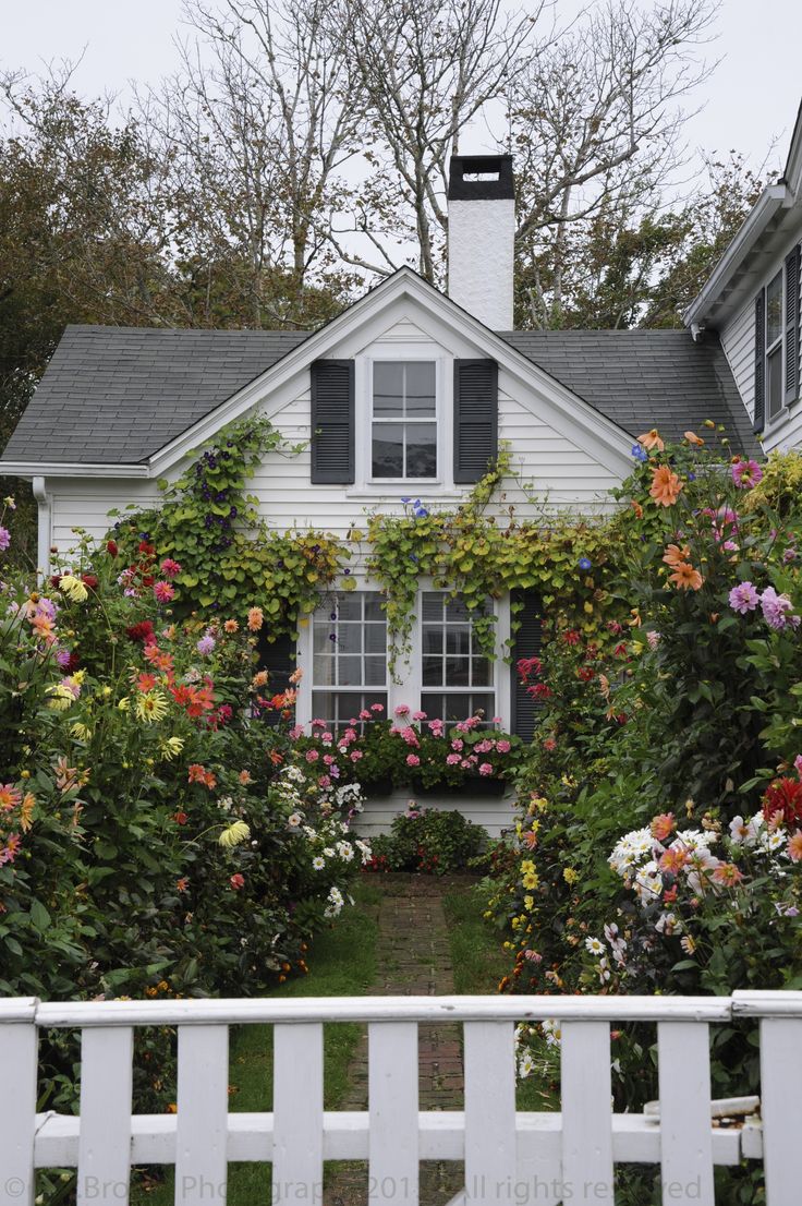 A sweet cottage covered in roses