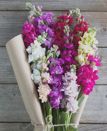 Bouqs flowers for mothers day