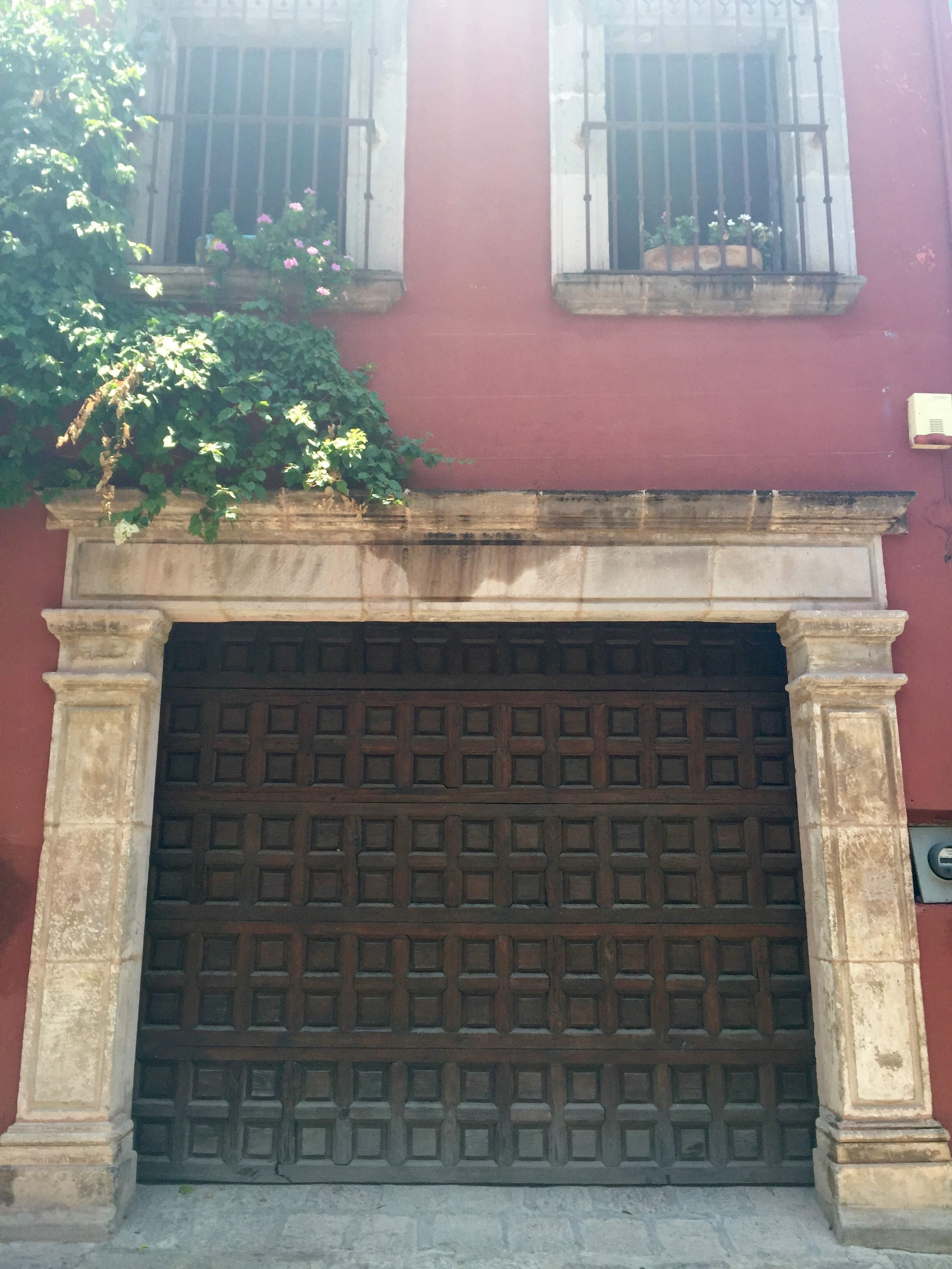 Doors of San Miguel by The Potted Boxwood 10