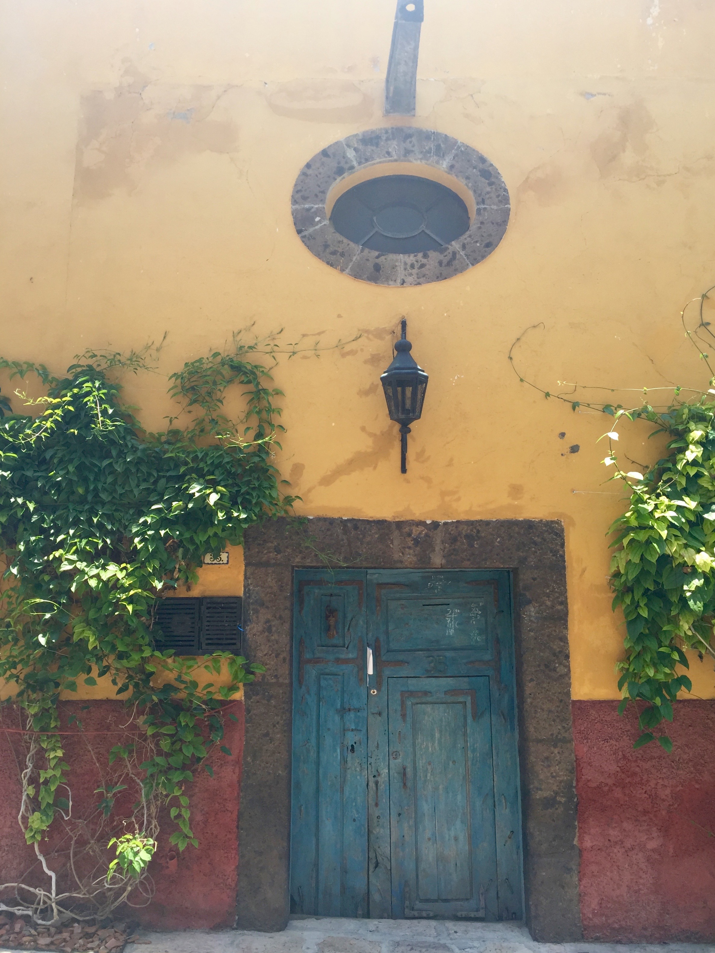 Doors of San Miguel by The Potted Boxwood 11