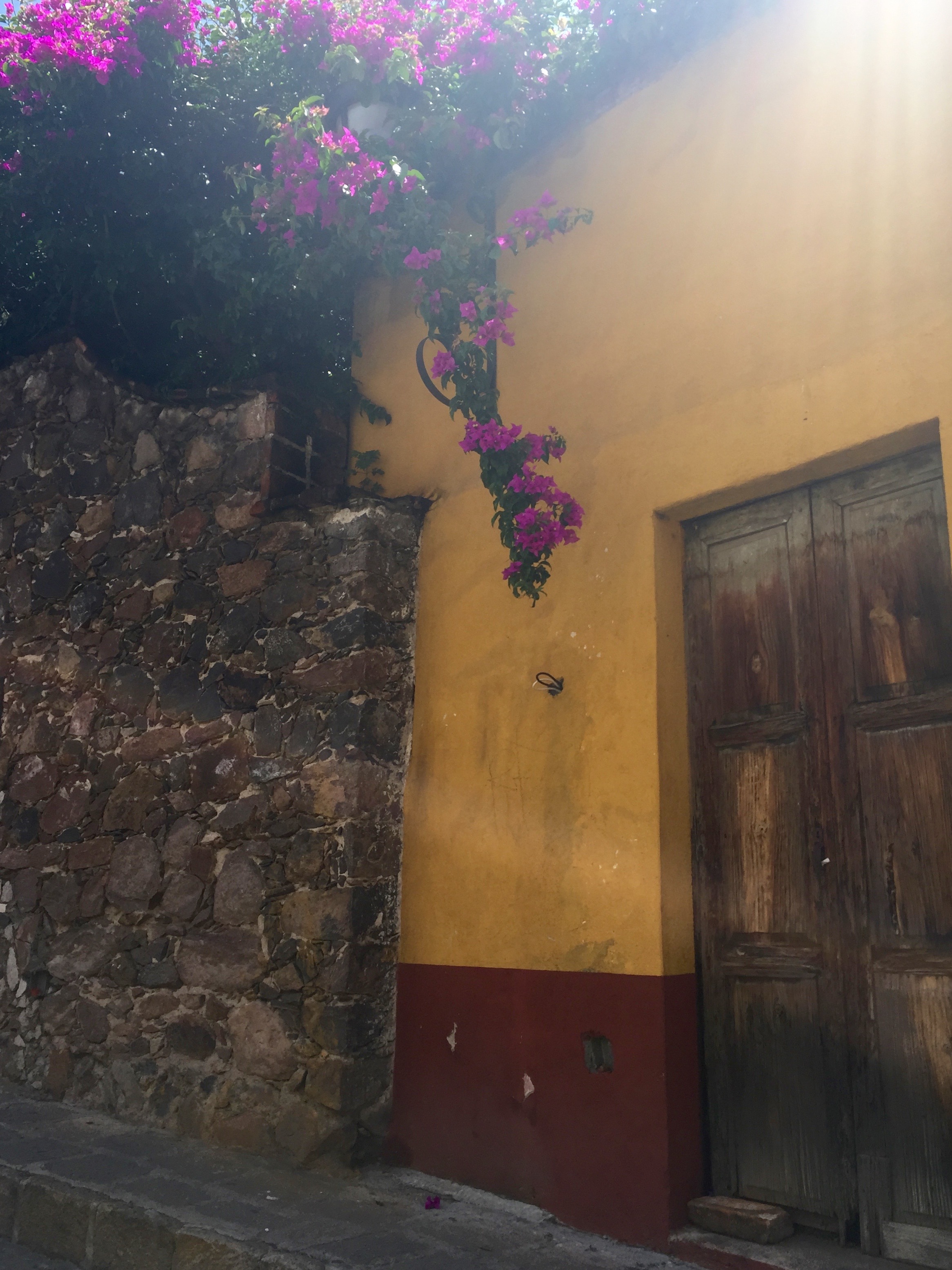 Doors of San Miguel by The Potted Boxwood 17