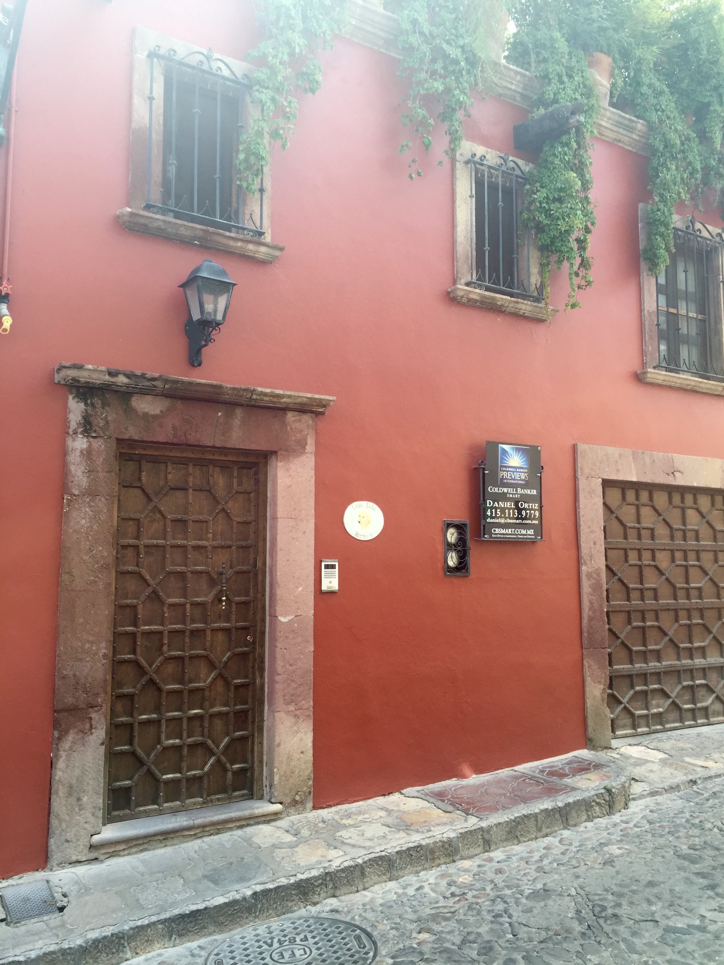 Doors of San Miguel by The Potted Boxwood 31