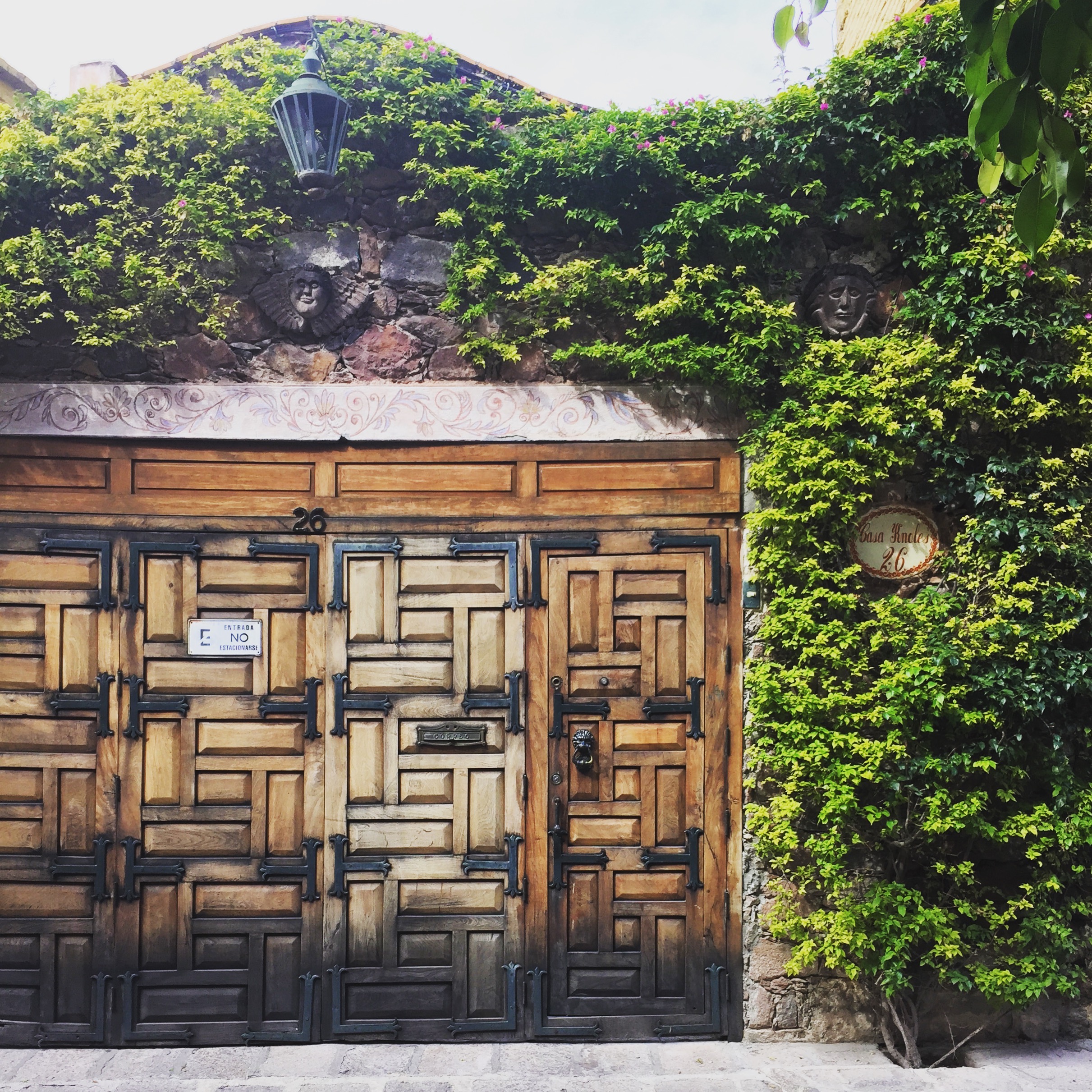 Doors of San Miguel by The Potted Boxwood 34