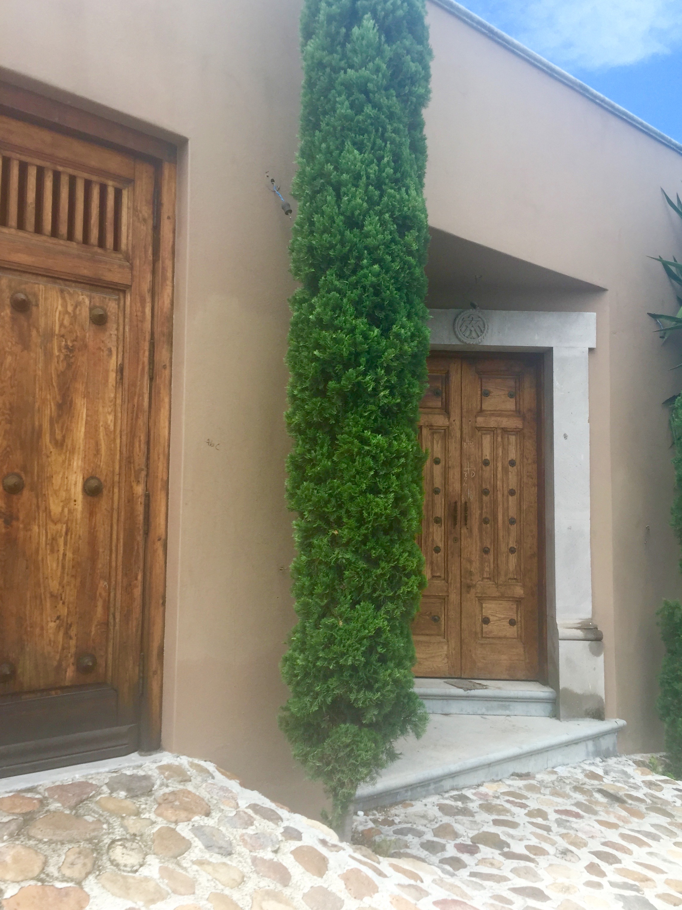 Doors of San Miguel by The Potted Boxwood 40