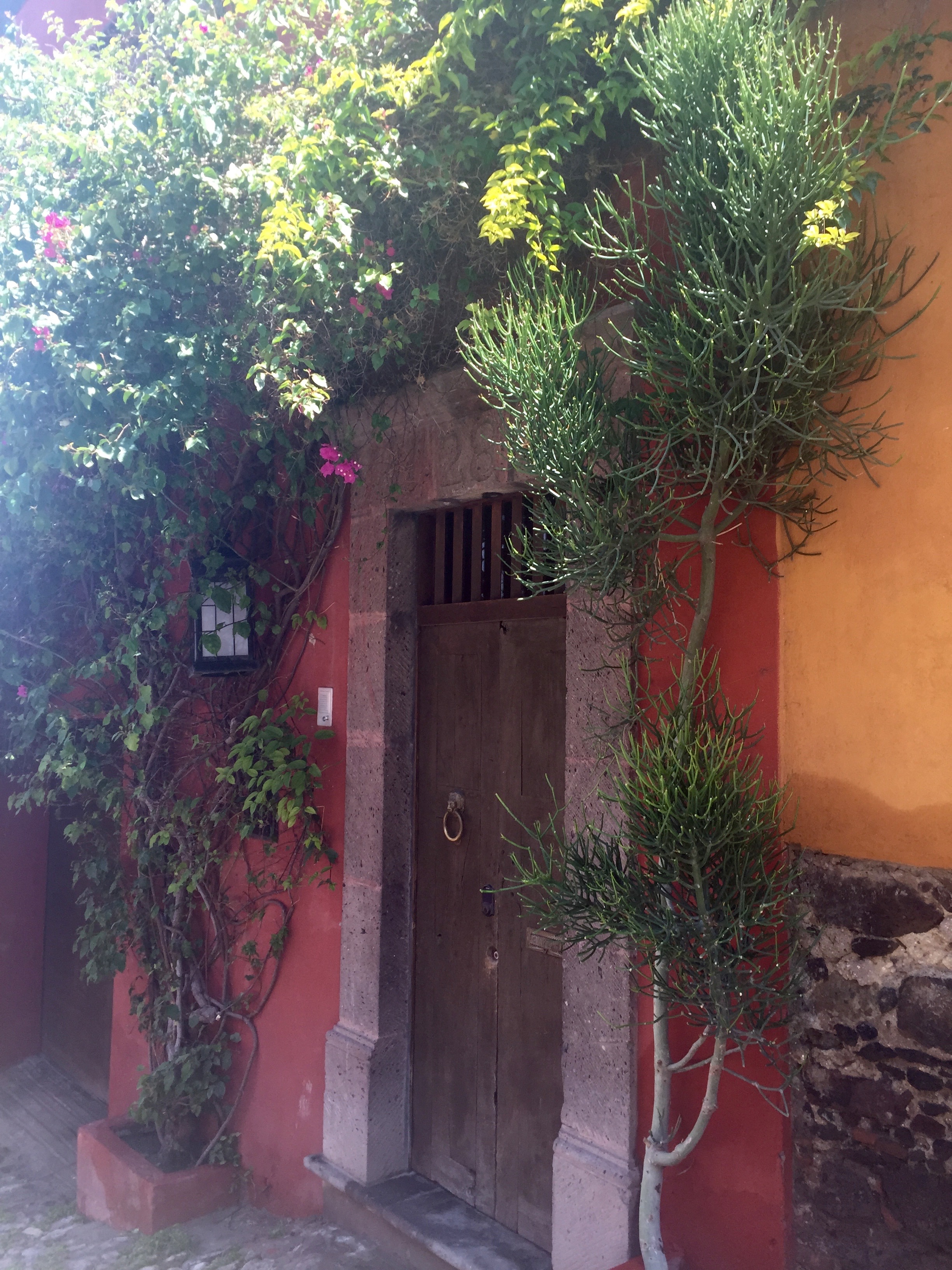 Doors of San Miguel by The Potted Boxwood 42