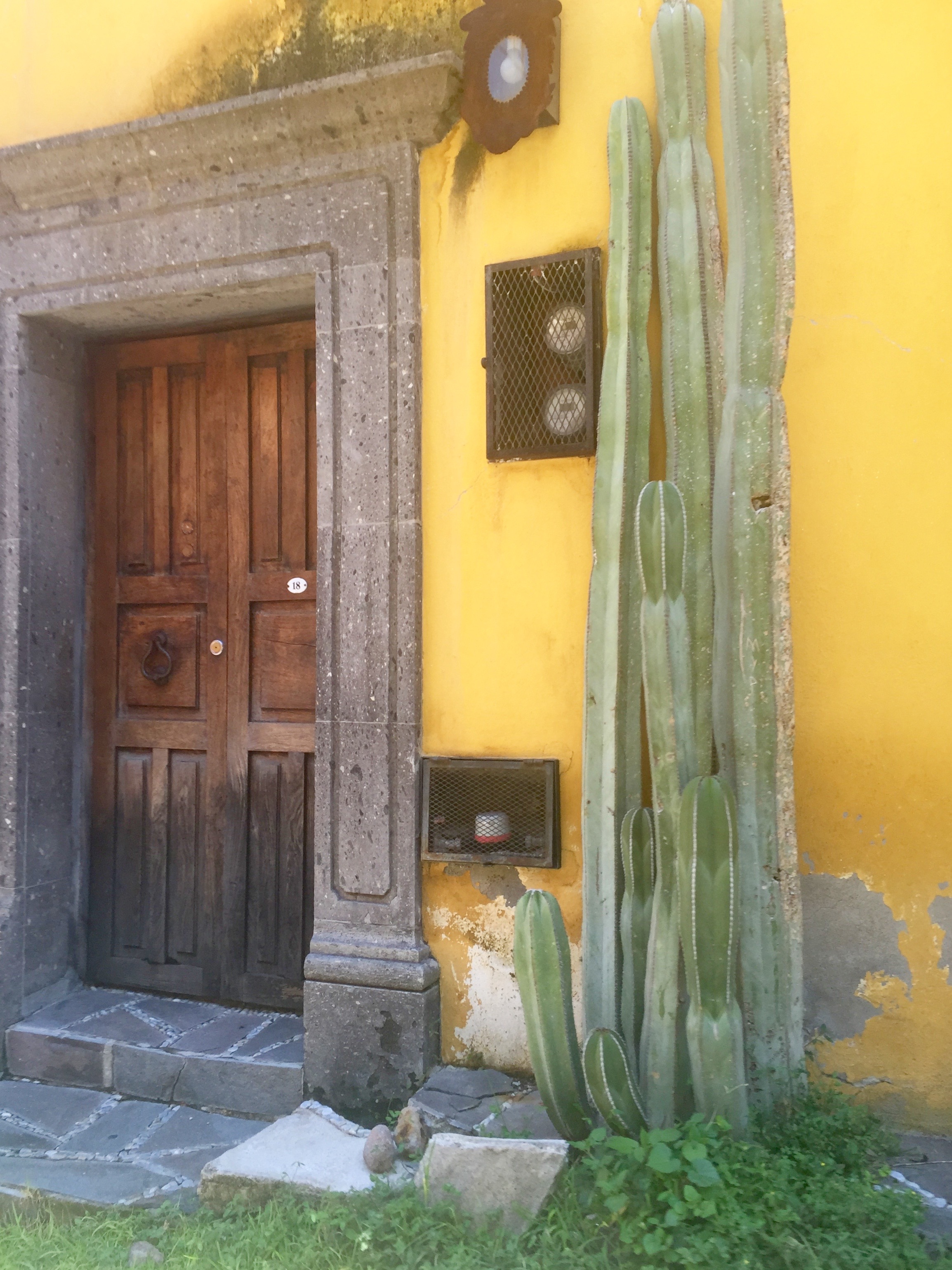 Doors of San Miguel by The Potted Boxwood 43