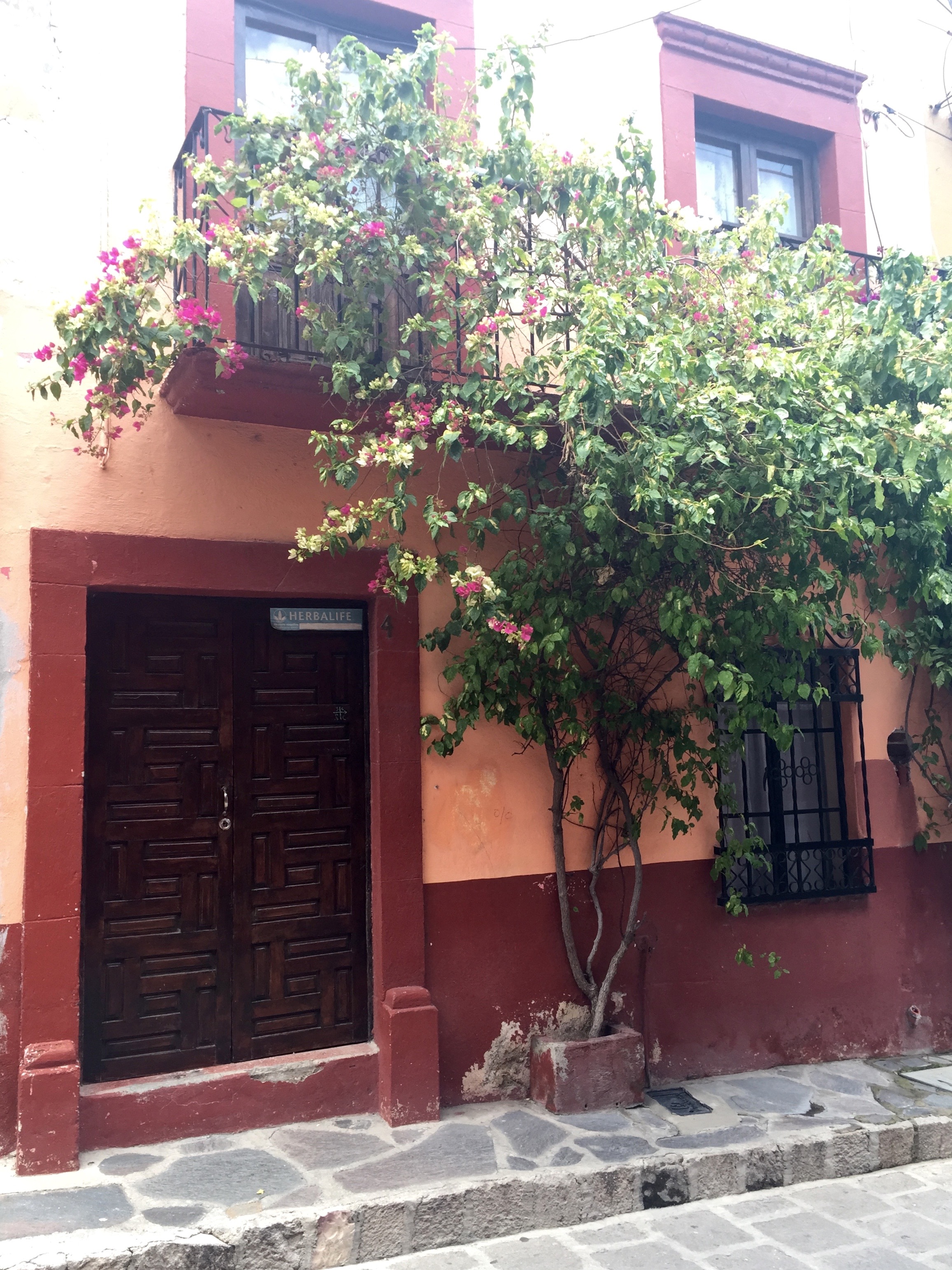 Doors of San Miguel by The Potted Boxwood 46