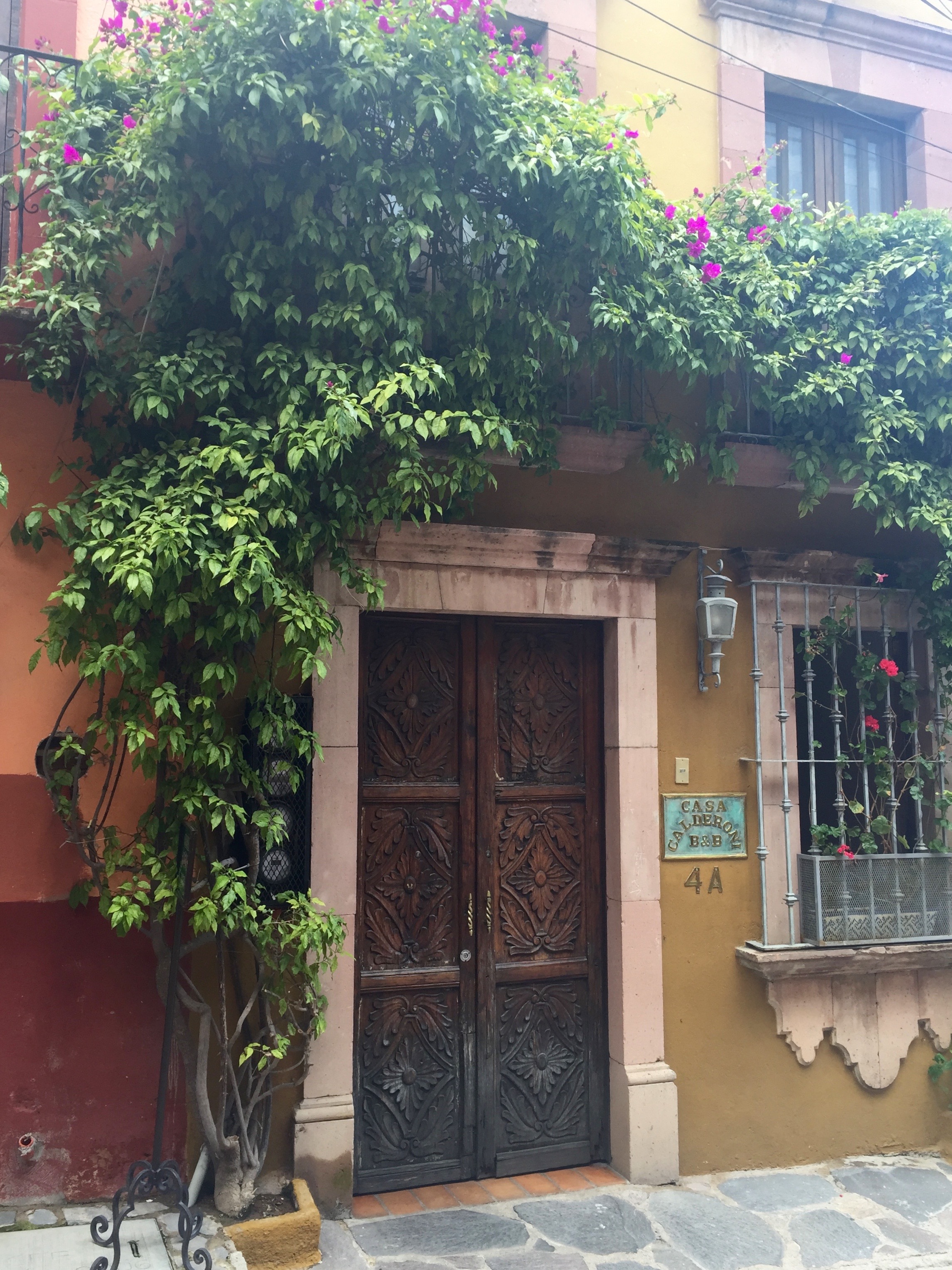 Doors of San Miguel by The Potted Boxwood 47