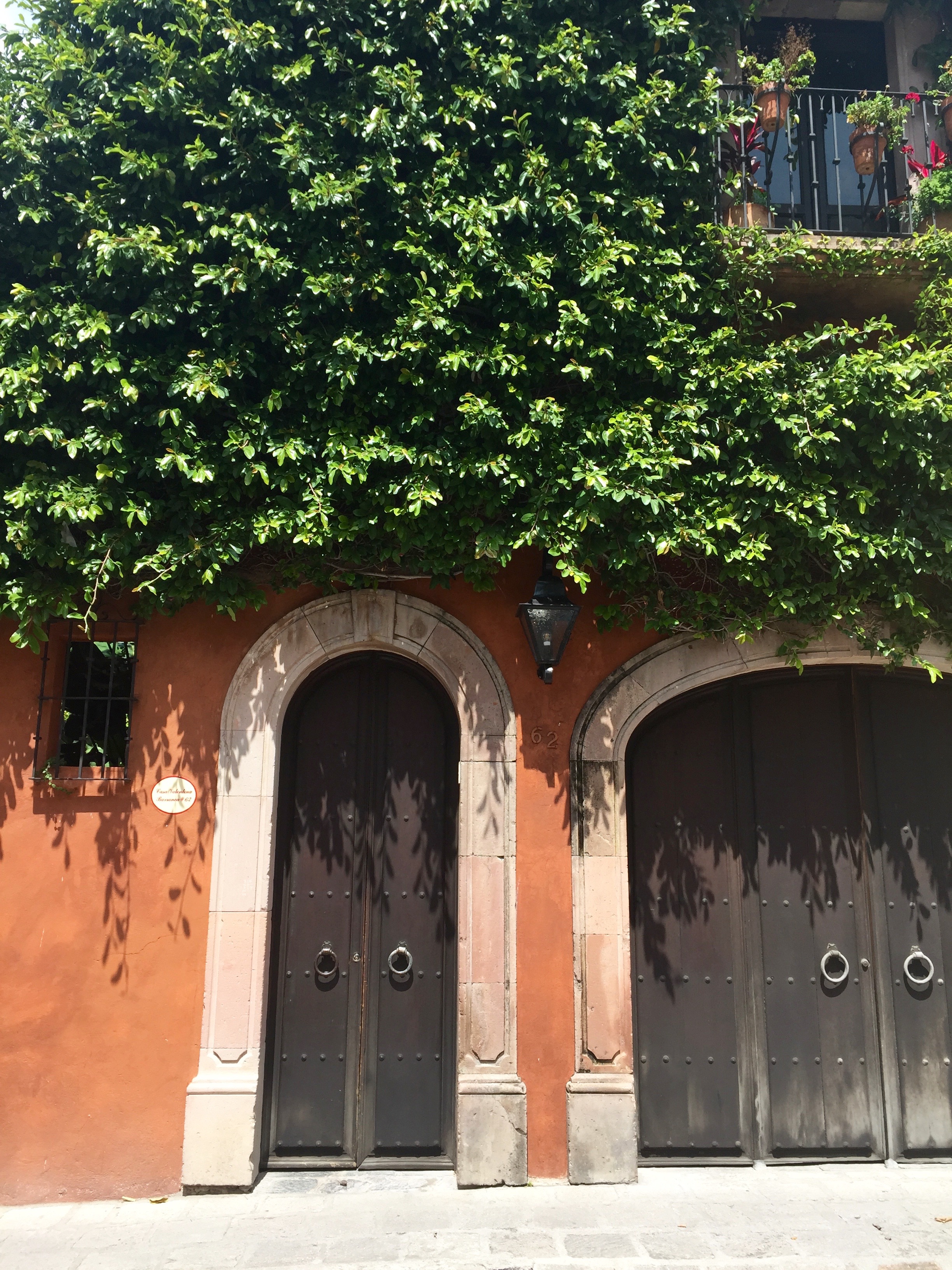 Doors of San Miguel by The Potted Boxwood 50