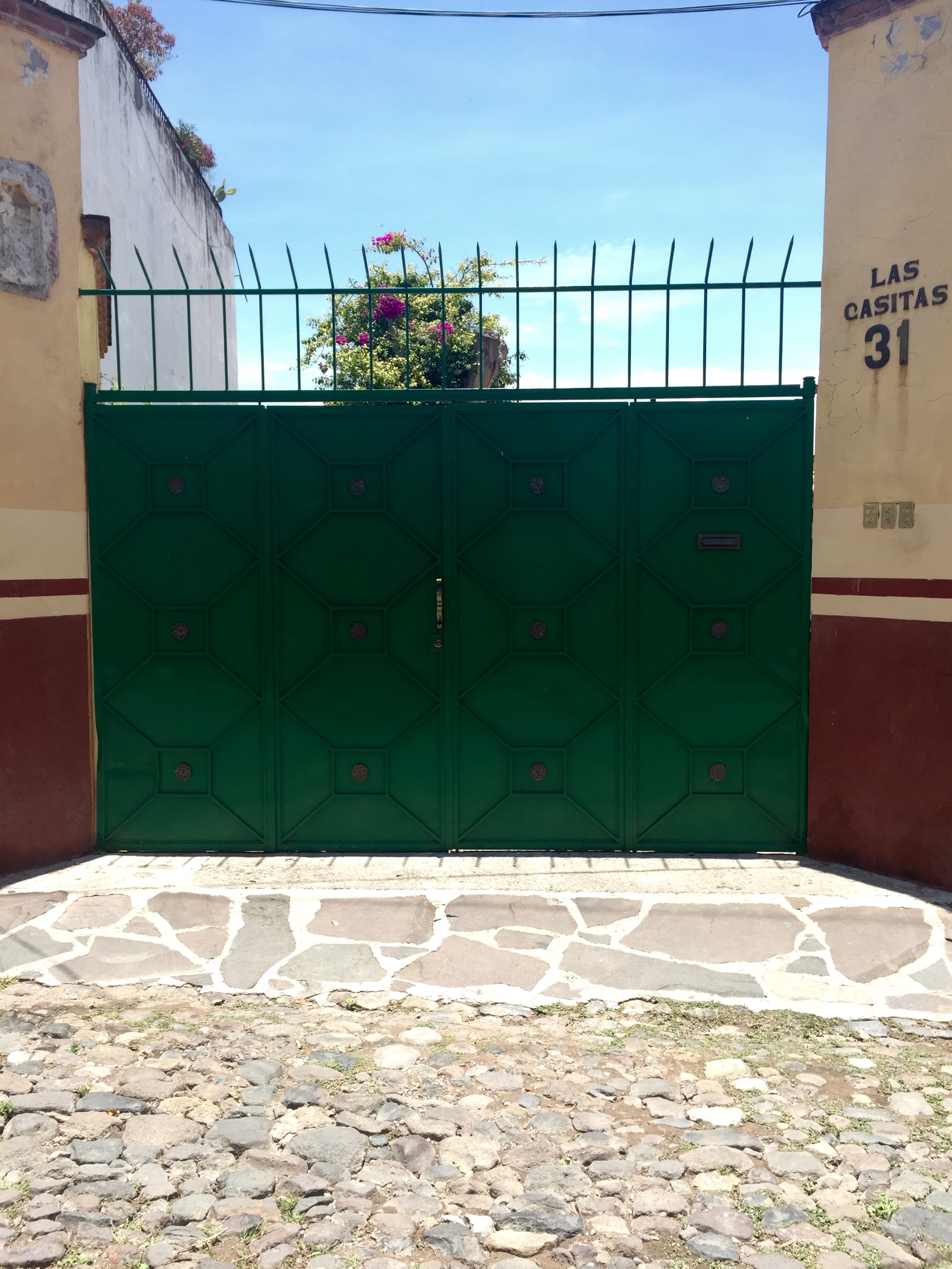 Doors of San Miguel by The Potted Boxwood 9