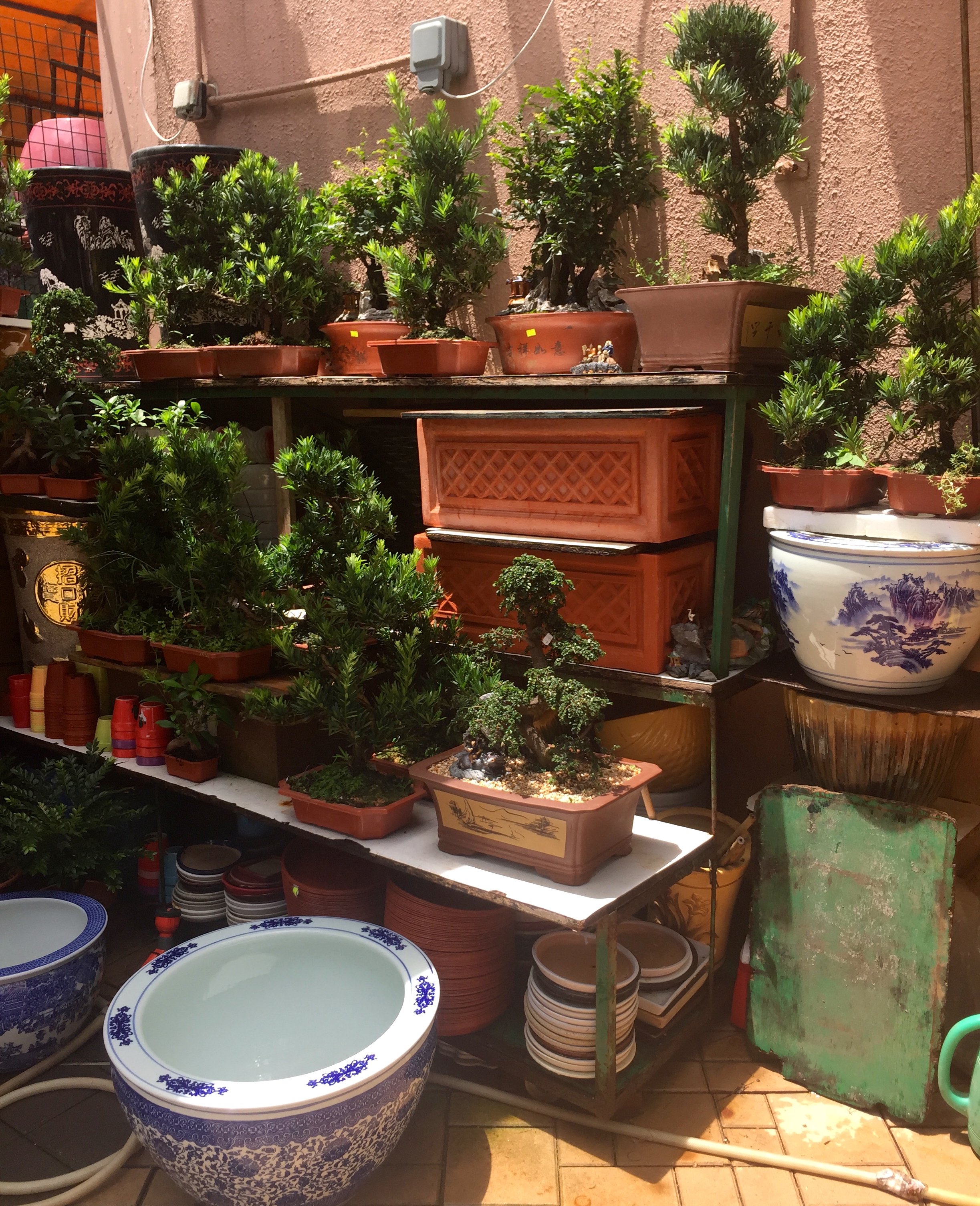 The Flower District in Hong Kong via The Potted Boxwood 4