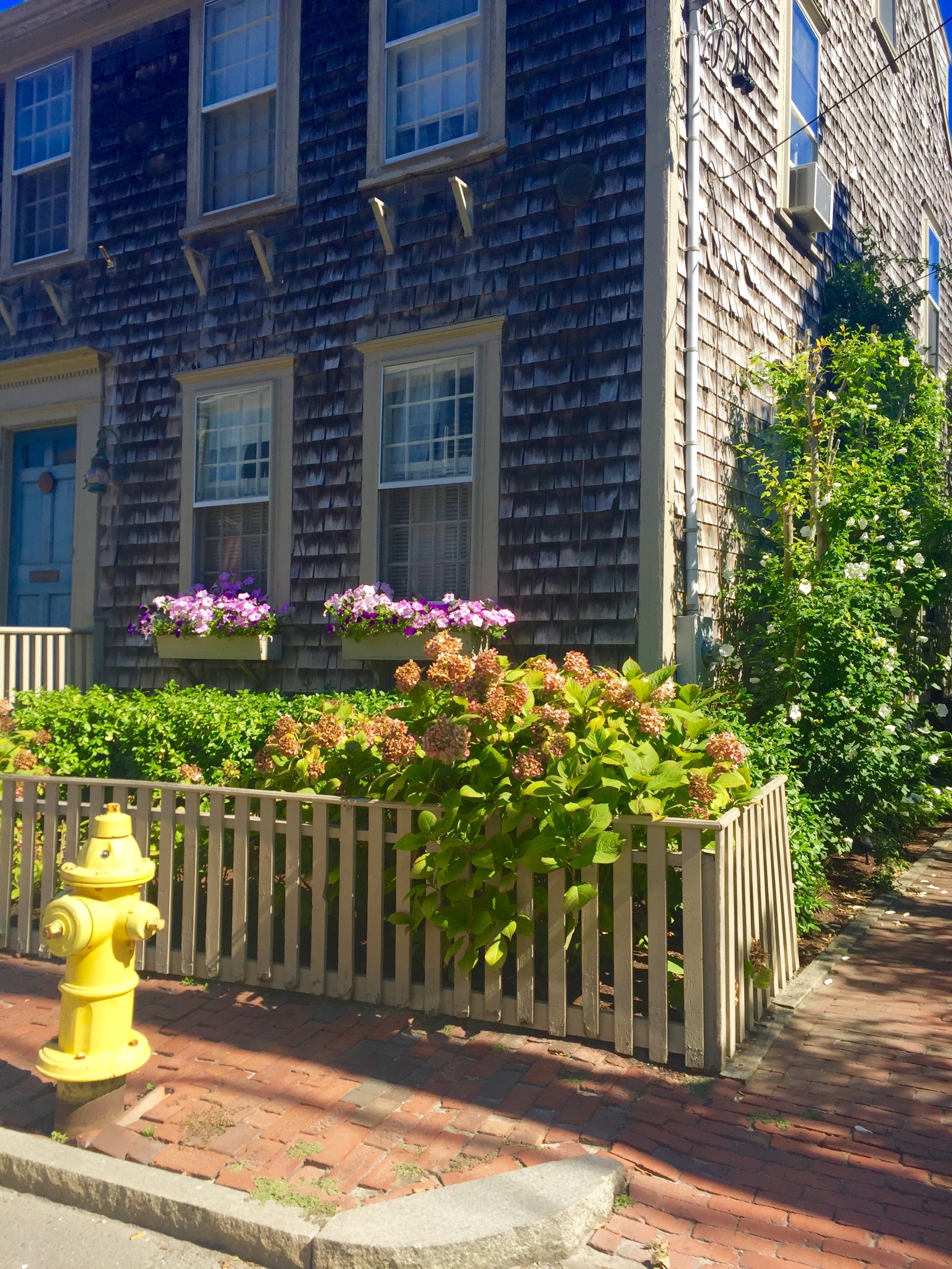 Nantucket Architecture _The Potted Boxwood 22