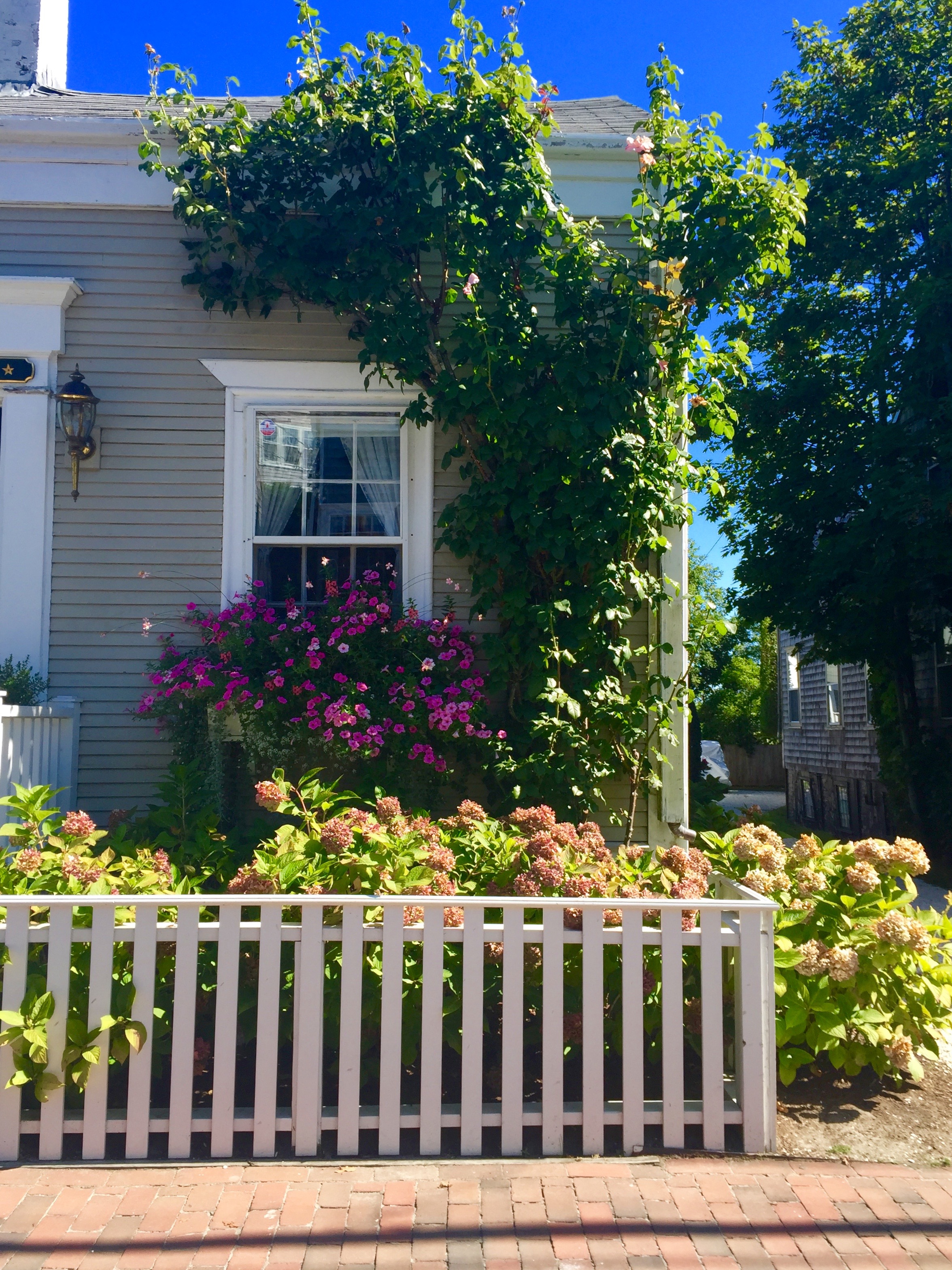 Nantucket Architecture _The Potted Boxwood 24