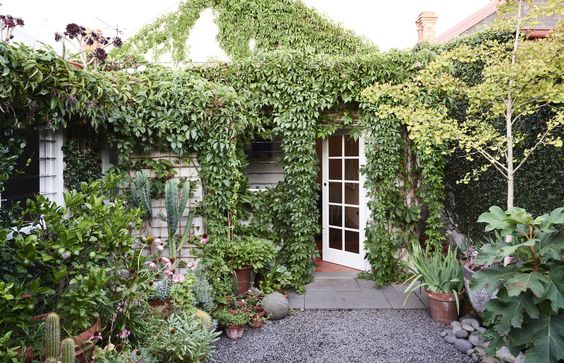 Ivy covered courtyard via thedesignfiles