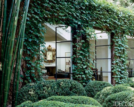 Ivy covered modern home via Elle Decor