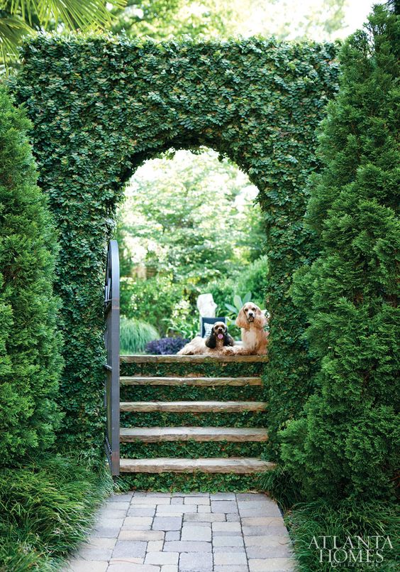 Ivy garden pathway via Atlanta Homes and Lifestyles