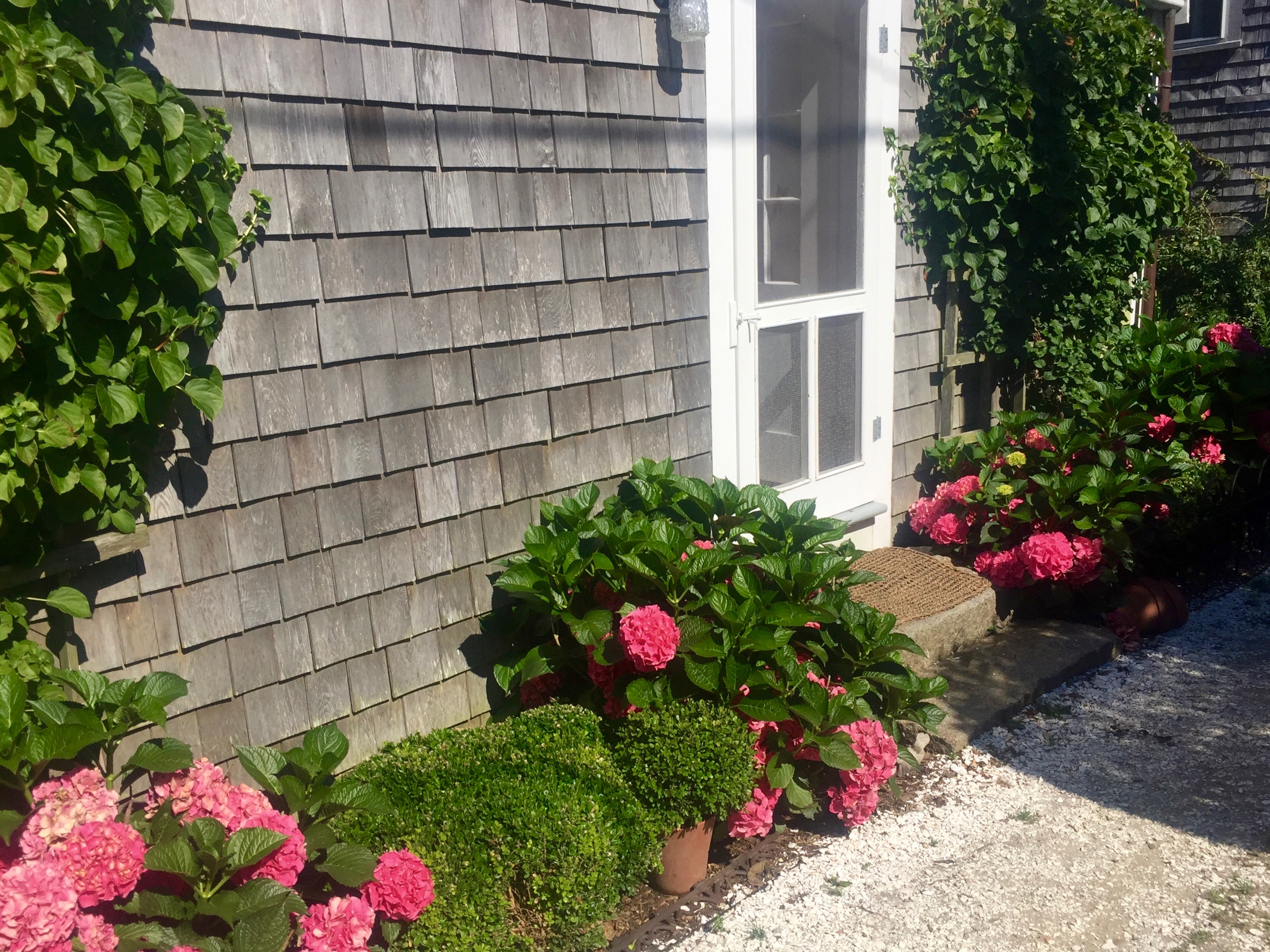 Photos of Nantucket by Christina Dandar for The Potted Boxwood 12