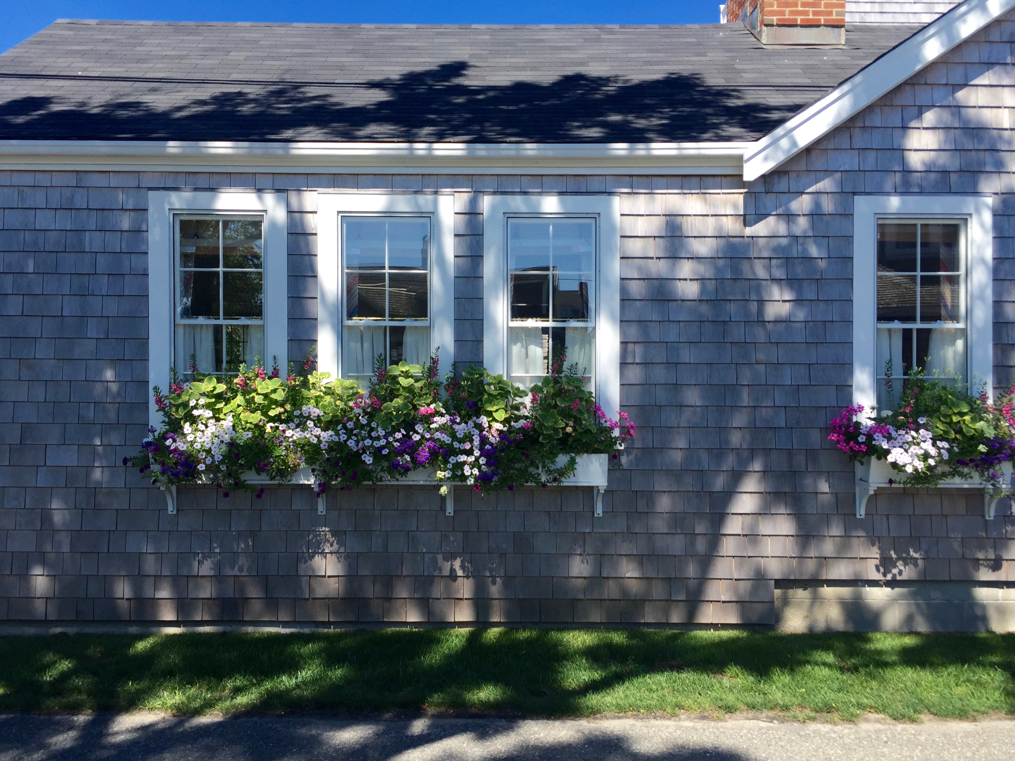 Photos of Nantucket by Christina Dandar for The Potted Boxwood 5