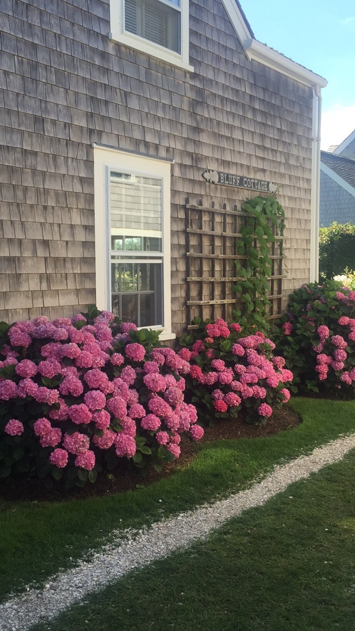 Photos of Nantucket by Christina Dandar for The Potted Boxwood11