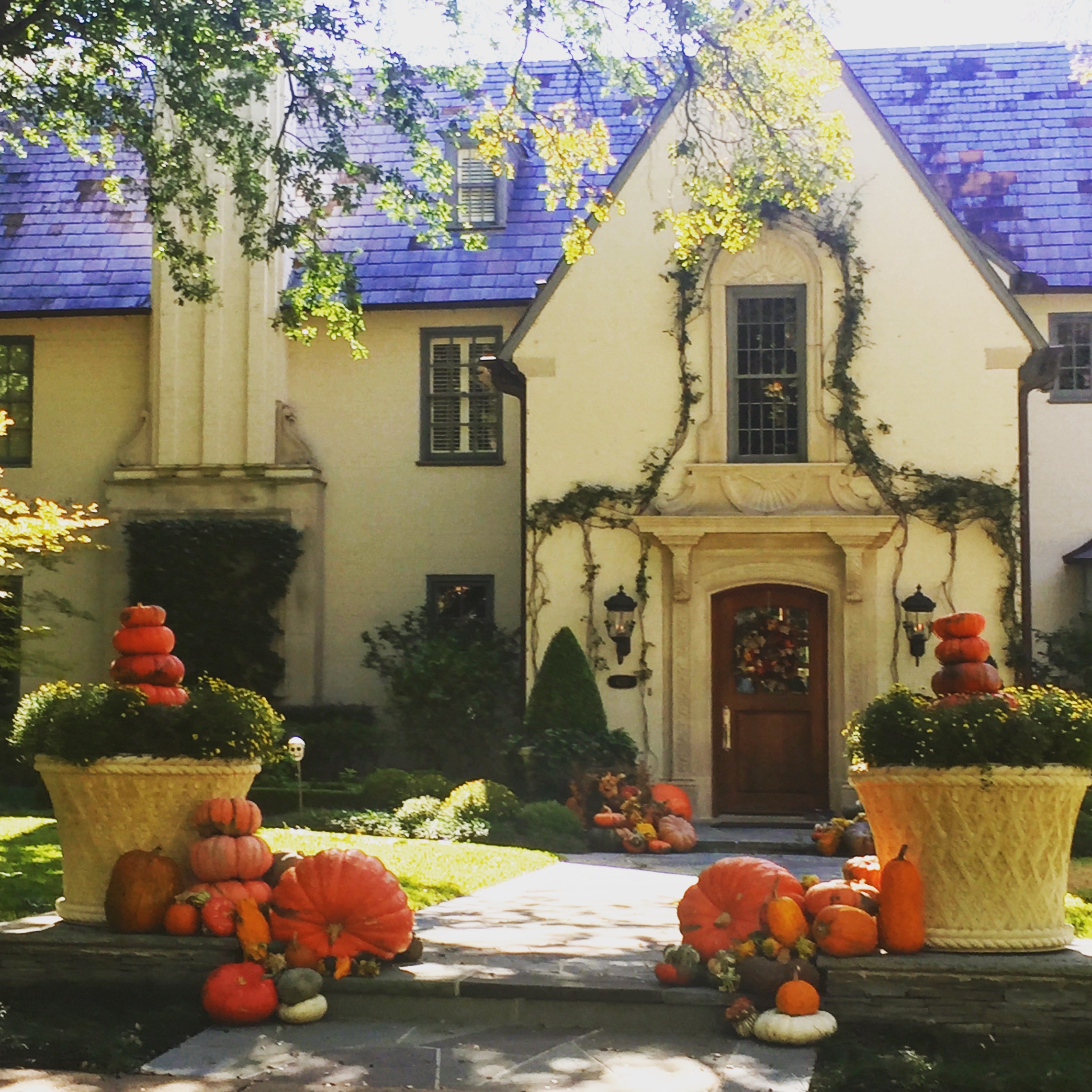 halloween-decoration-in-dallas-photo-by-the-potted-boxwood-5