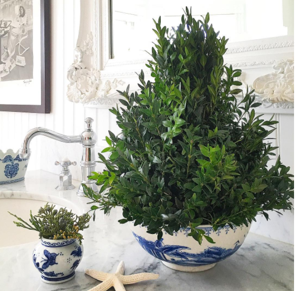 blue-and-white-and-christmas-boxwood-design-by-kelli-delaney-of-kd-hamptons