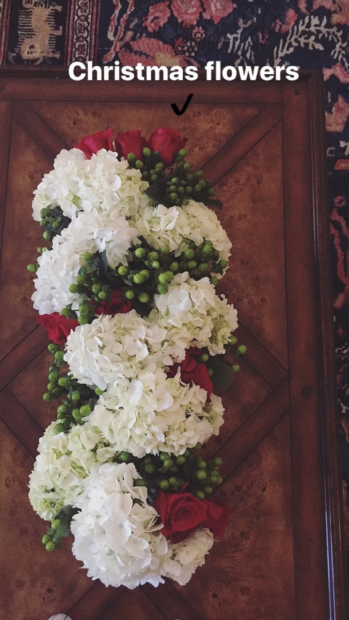 christmas-flowers-by-christna-dandar-for-the-potted-boxwood