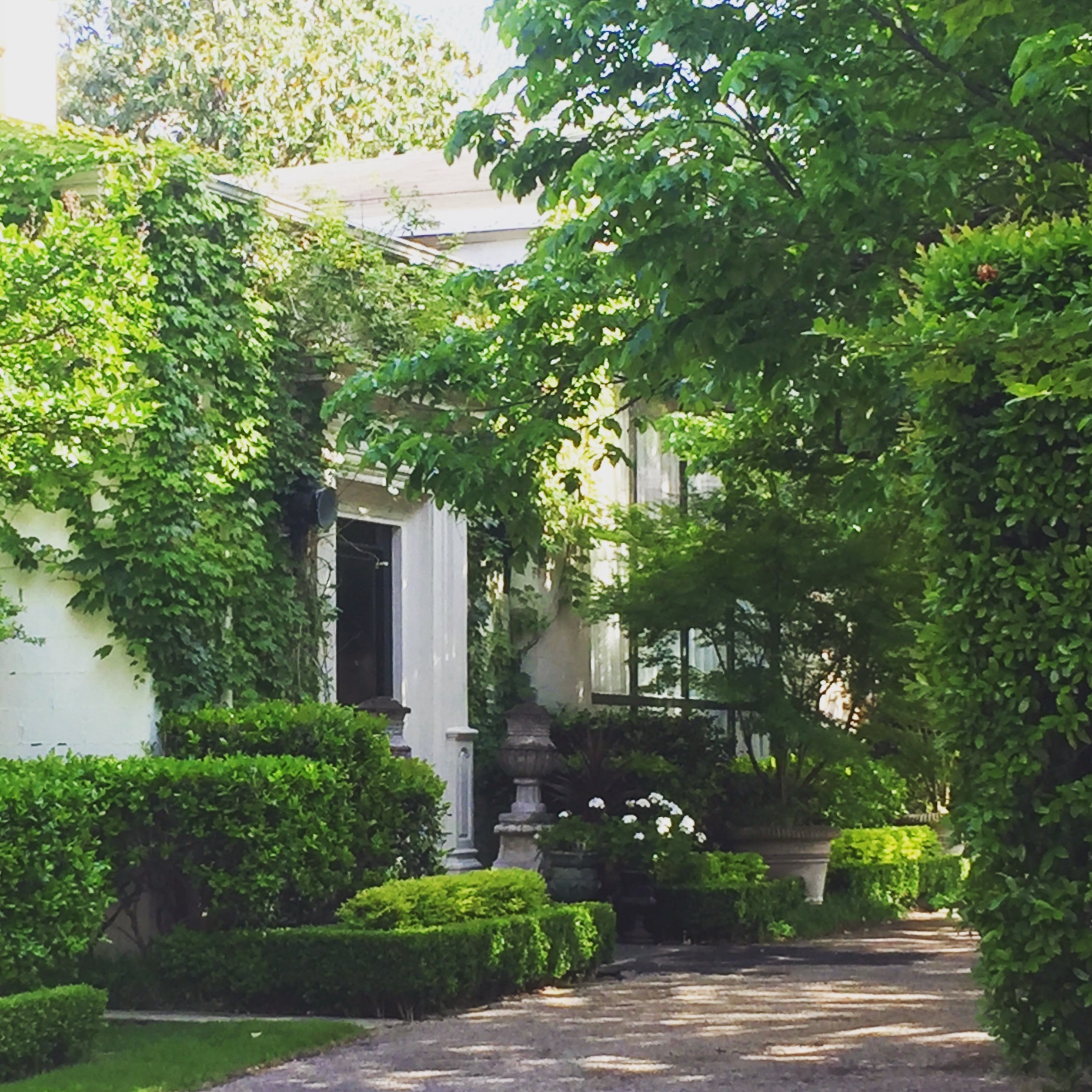 Homes in Dallas photo by The Potted Boxwood 3