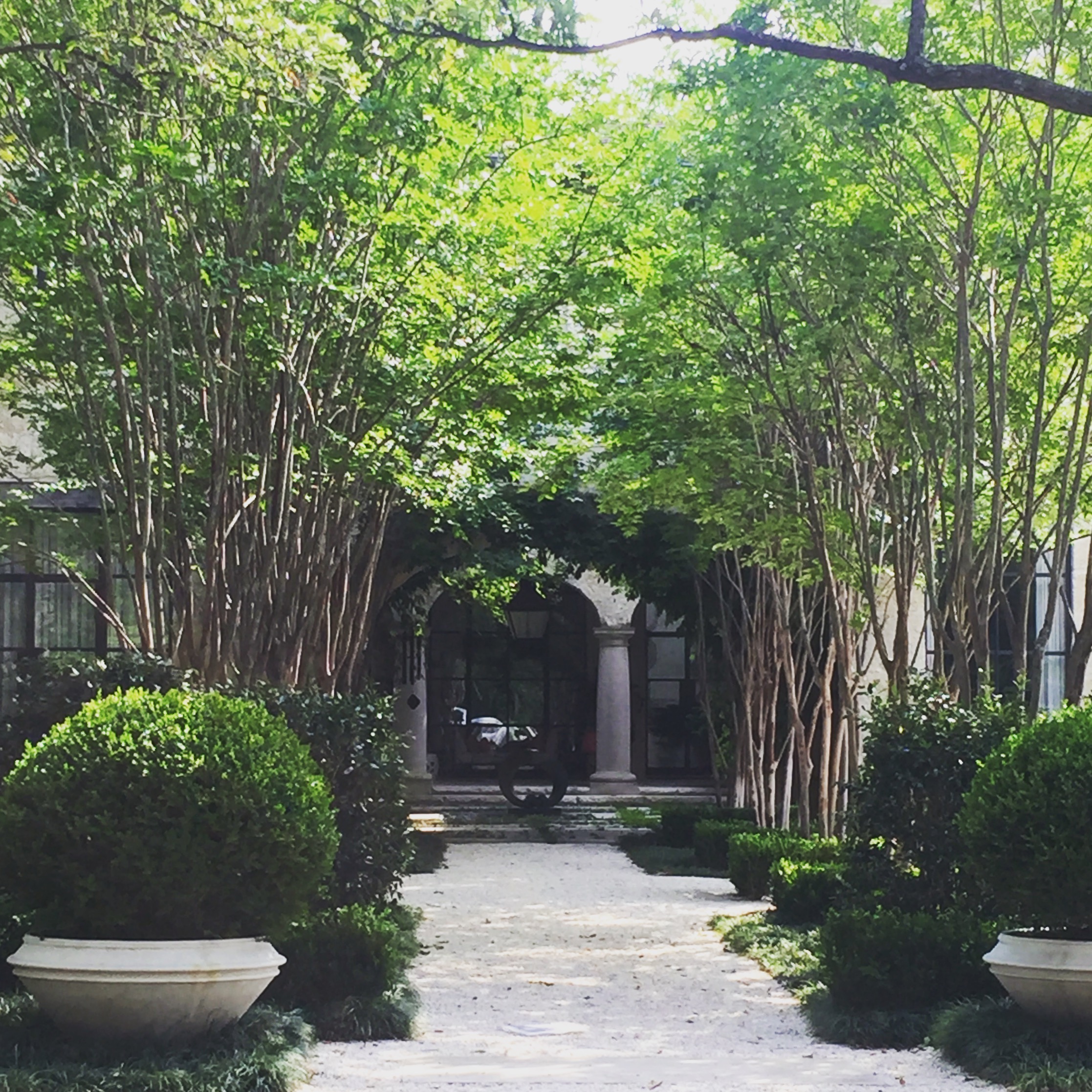 Homes in Dallas photo by The Potted Boxwood 5