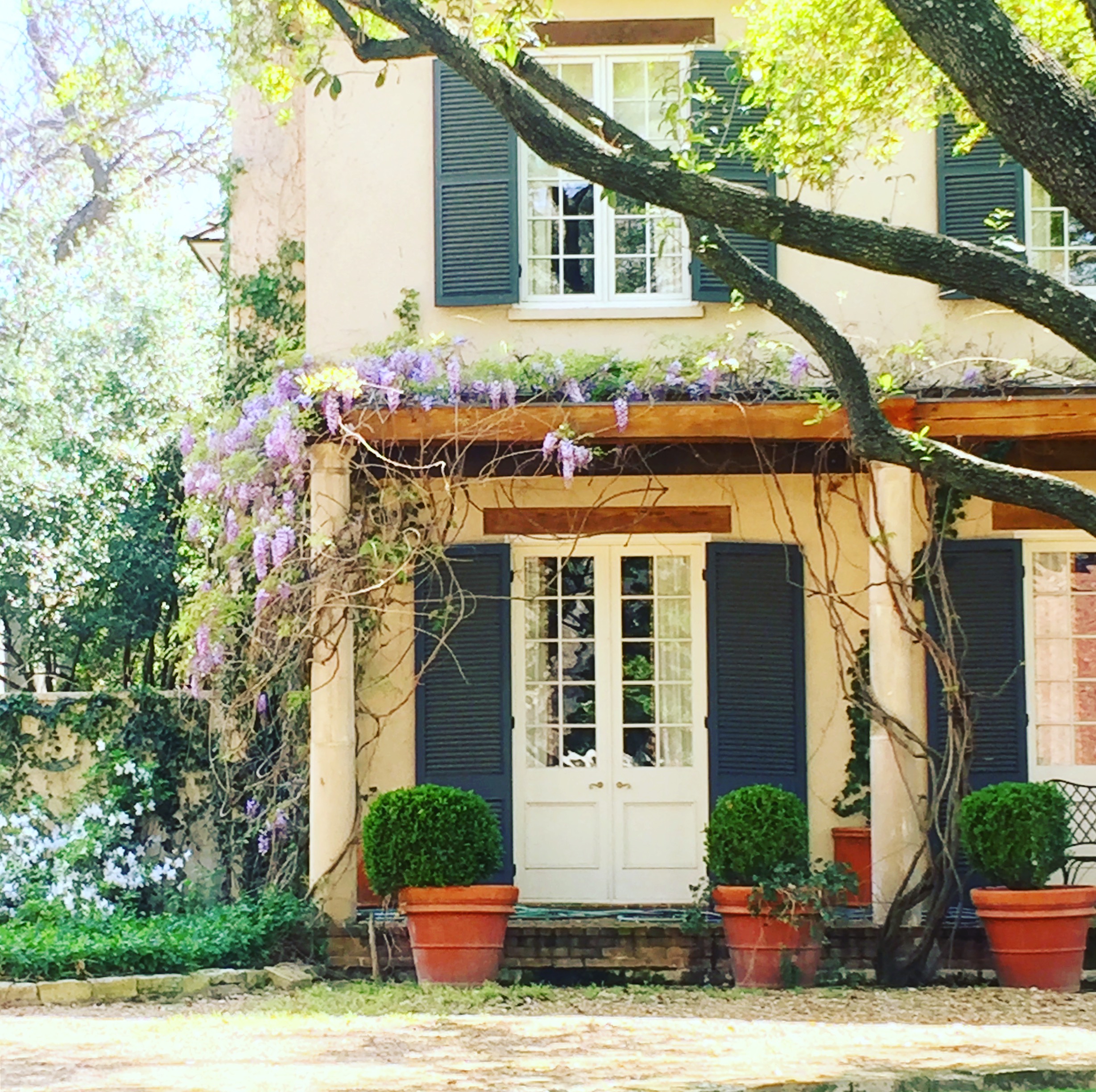 Homes in Dallas photo by The Potted Boxwood
