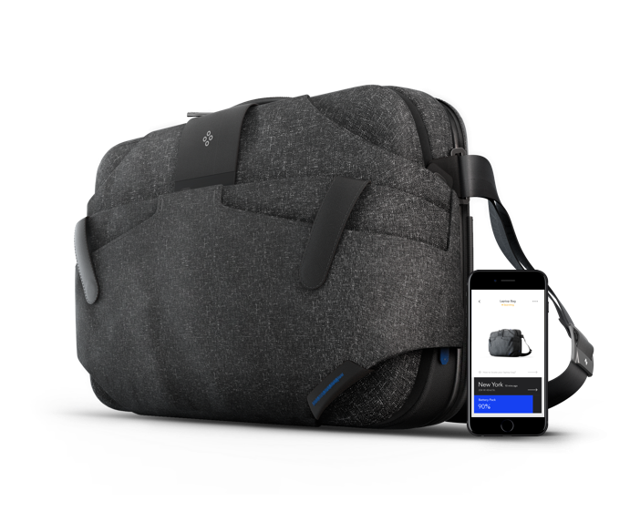 Bluesmart Laptop Bag